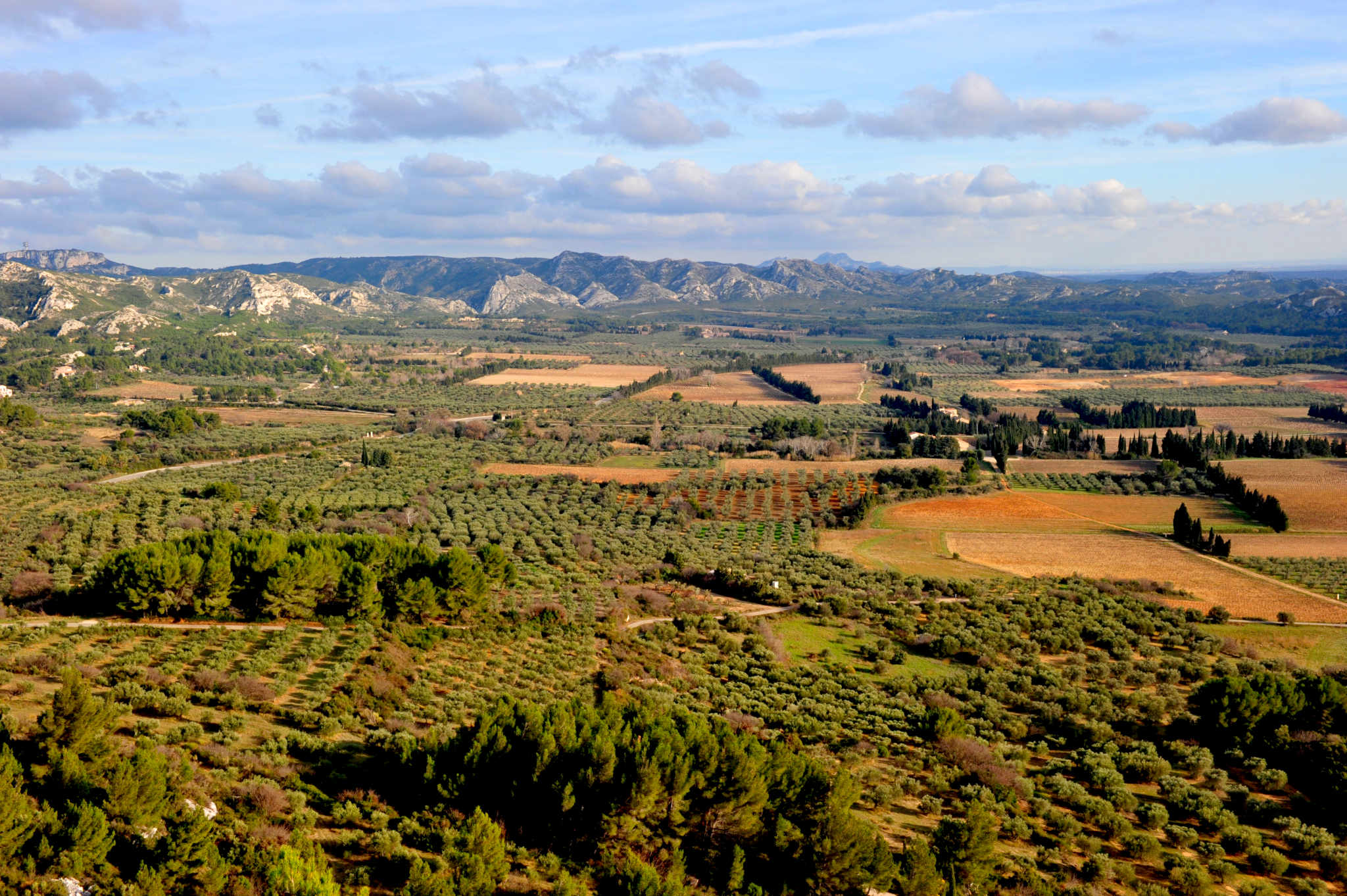 Panorama over de vallei van Les Baux-de-Provence vanaf het dorp: olijfgaarden, wijngaarden, pijnbossen en de kalkstenen bergkammen van de Alpilles
